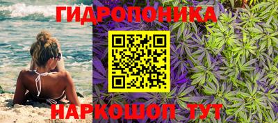 spice Чебоксары